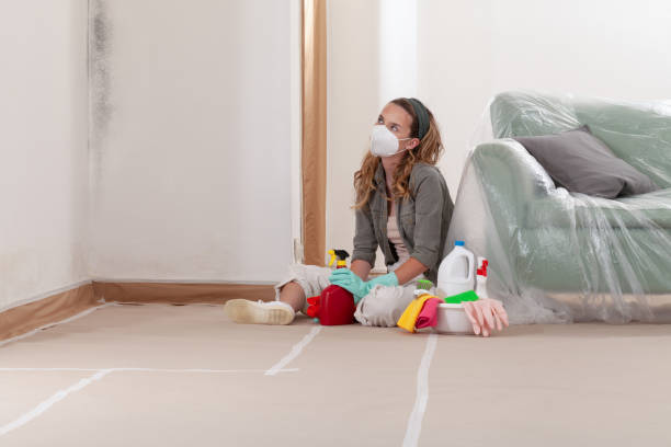 Reliable Black Mold Removal contractor in Washington, NJ by WQB Mold Removal